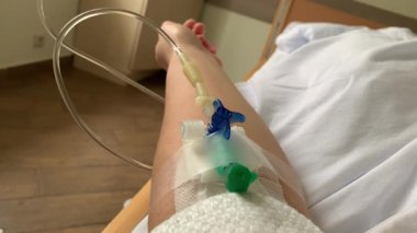 Banliyö Mahallesindeki Çiçekli Pembe Rhododendron Ağaçları. Rhododendron ağaçları tamamen çiçek açarak yerleşim yeri caddesi boyunca bereketli ve renkli bir bahar manzarası yaratıyor..