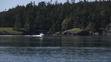 Beyaz motorlu tekne, ormanla kaplı adanın yakınındaki sakin deniz boyunca ilerliyor. Sahne sahili doğası yavaş çekimde yakalanır. Huzurlu su, kayalık sahil ve yemyeşil ağaçlar rahatlatıcı bir atmosfer yaratır..