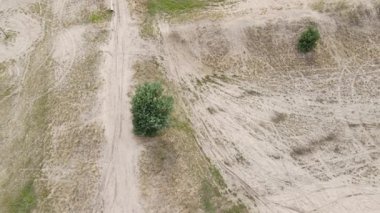 İnsansız hava aracı bir ağacın altında alçaktan havalanarak yükselir ve dağınık bitki örtüsüyle kumlu geniş bir alanı ortaya çıkarır. Zeminden hava görüntüsüne yumuşak geçiş.