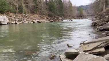 Dağ nehri, çıplak ağaçlar ve Evergreen 'lerle çevrili kayalık bir vadiden akar. Doğal bahar manzarası, doğa ve seyahat temaları için idealdir..