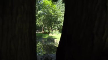 Kamera, iki ağaç arasındaki dar bir boşluktan geriye doğru hareket ediyor. Bu da bir patika, gölet, yansıma ve güneş ışığıyla dolu güzel bir yaz sahnesini gözler önüne seriyor..