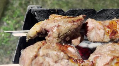 Sıcak kömürde kavrulan et parçalarının yakın çekimi. Altın kabuk, duman ve ısı görülebilir. Güneşli bir günde açık havada çekilen lezzet neredeyse elle tutulur..