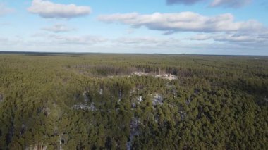 Yoğun ve yeşil bir ormanın ufukta uzanan insansız hava aracı görüntüleri. Yerde kar parçaları görülebilir, gökyüzünde bulutlar ve ormanda uzak açıklıklar var..