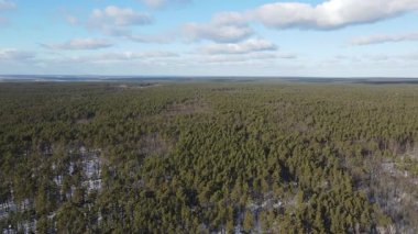 Yoğun ve yeşil bir ormanın insansız hava aracı görüntüleri. Yerde kar parçaları görülebilir, gökyüzünde dağınık bulutlar. İHA uçuşu sağdan sola.