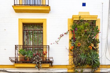 Güzel dekore edilmiş balkonlar Sevilla 'nın tarihi merkezinde saksı çiçekleri ile