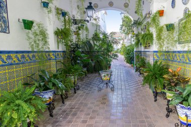 Seville, Spain - January 4, 2023: Beautiful andalusian patio with pots and plants in the corridor of access to the house, in the Triana neighborhood, old city of Seville, Andalusia, Spain