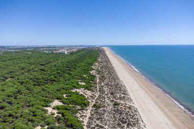 Punta Umbria sahilinin Huelva 'da Los Enebrales, Endülüs, İspanya' da doğal alanda uçan insansız hava aracı görüntüsü.