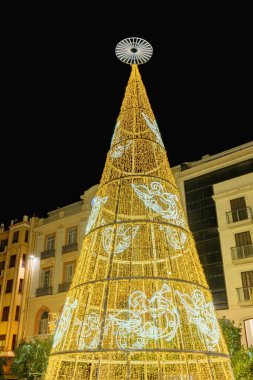 Plaza de la Constitucion 'daki Noel ağacı, Malaga Şehri Anayasa Meydanı, Endülüs, İspanya