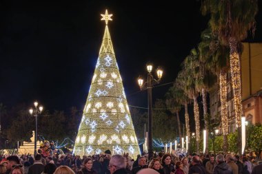 Seville, İspanya - 16 Aralık 2023 Noel ağacı Sevilla, Endülüs, İspanya 'da Puerta de Jerez' de (Jerez kapısı)