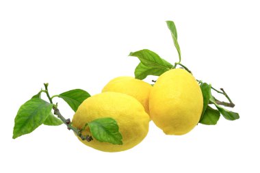 beyaz arkaplanda yaprak ile limon meyvesi
