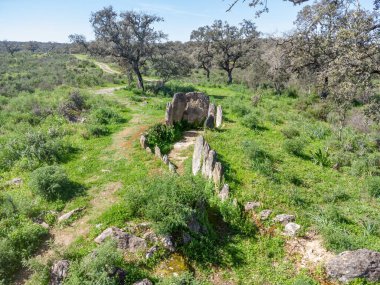 Gabrieles dolmen kompleksinin bir parçası olan 6 numaralı monolit, Huelva ili Valverde del Camino belediyesinde, Endülüs, İspanya