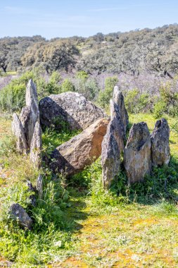 Gabrieles dolmen kompleksinin bir parçası olan 3 numaralı anıt, Valverde del Camino belediyesinde, Huelva, Endülüs, İspanya