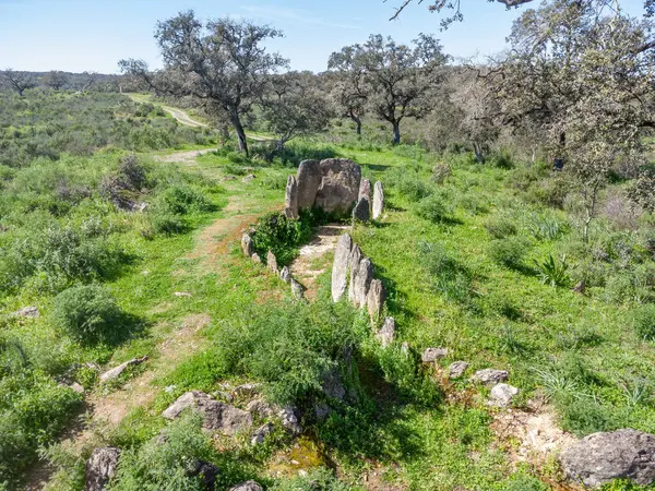 Gabrieles dolmen kompleksinin bir parçası olan 6 numaralı monolit, Huelva ili Valverde del Camino belediyesinde, Endülüs, İspanya