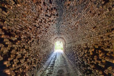 İspanya 'nın Endülüs eyaletinde Sotiel Coronada' dan Odiel nehri boyunca uzanan su değirmenlerinin yürüyüş rotasındaki eski demiryolu tüneli.