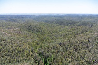 Aerial drone view of pine and cork oaks forest in Huelva mountains, Sierra de Aracena  clipart
