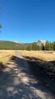 Tuolumne Meadows 'un Altın Çayırları' nda yürüyüş (Yosemite Ulusal Parkı, Kaliforniya, ABD)