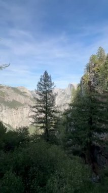 Woodlands and Half Dome along Four Mile Trail (Yosemite Ulusal Parkı, Kaliforniya, ABD)