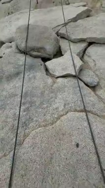 Half Dome Kablolarını Yükselten Yürüyüşçüler (Yosemite Ulusal Parkı, Kaliforniya, ABD)