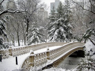 Karla kaplı Park Köprüsü (New York, New York, ABD)