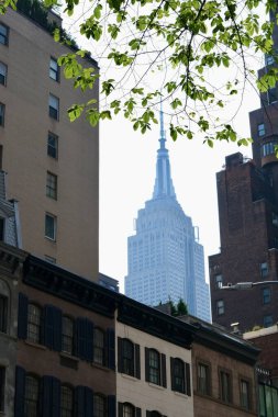 New York, New York, USA- 5 Haziran 2025: Empire State Framed by Leaves