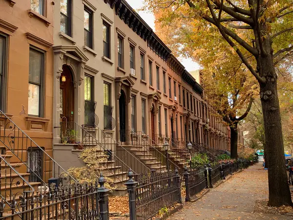 Güz Brownstone Perspektifi (Brooklyn, New York, ABD)