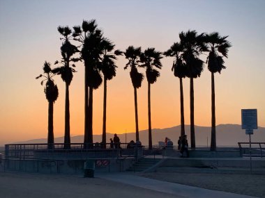Palms Silhouettes at the Beach at Sunset (Los Angeles, California)