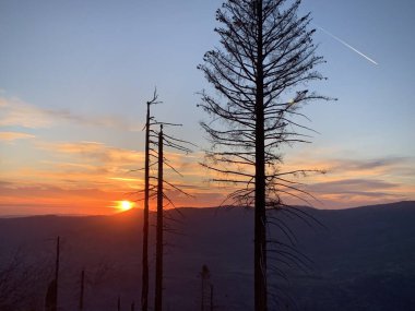 Golden Sunset Horizon (Yosemite Ulusal Parkı, Kaliforniya, ABD)