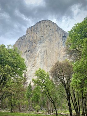 Bulutlu bir günde El Capitan (Yosemite Ulusal Parkı, Kaliforniya, ABD)