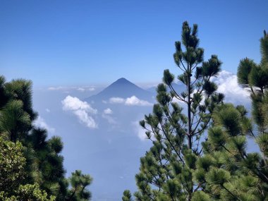 Çam Ağaçları (Volcan de Acatenango, Guatemala) tarafından Çerçevelenmiş Volkan)