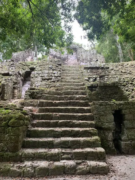 Arka planda Orman (Tikal, Guatemala) Piramit Merdivenleri Ön Görünümü)