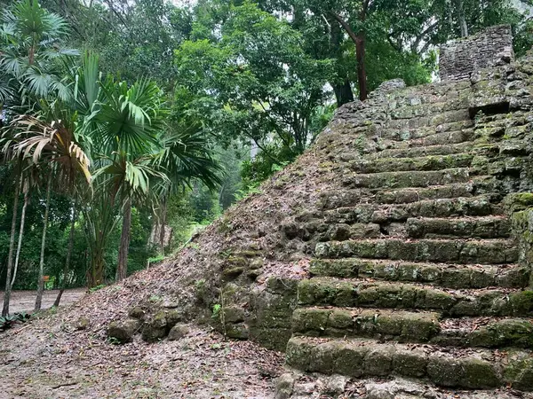 Arka planda Orman (Tikal, Guatemala) Piramit Merdivenlerinin Yan Görüntüsü)