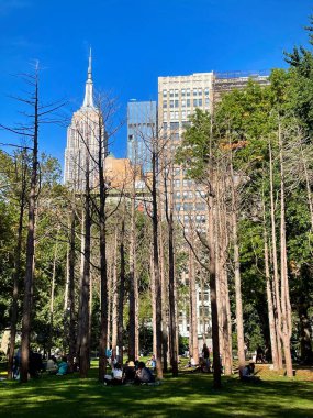 New York, New York, ABD - 11 Ekim 2021 New York Park 'ta Hayalet Ormanı Sanat Sergisi