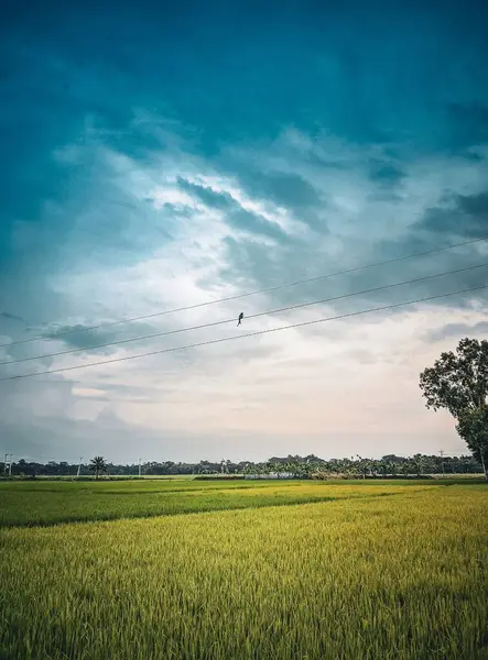 Doğanın güzel manzarası