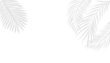 Beyaz arka planda siyah palmiye yaprağı. Avuç içinin gölgesi, çiçeksiz vektör arkaplanı bırakır. Duvar kağıdı, kumaş baskısı. vektör illüstrasyonu