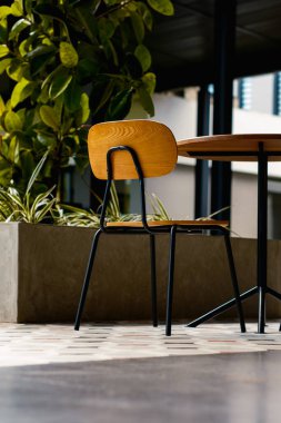 Işık ve gölge oyunu. Kiremit kaplı bir zeminde, güçlü güneş ışığıyla aydınlatılmış, dramatik gölgeler yaratan yalnız bir sandalye ve masa. Yeşil yapraklar sahneye doğanın bir dokunuşunu katıyor..