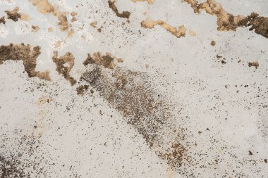 Grunge detayı. Yıpranmış bir yüzeye yakın çekim. Boya, pas ve pürüzlü dokuyu gösteriyor. Tasarım ve projelere tedirgin bir görünüm eklemek ya da arka planlar, üstüste bindirmeler için ideal.