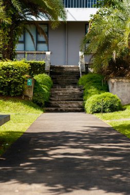 Bahçe mimarisi. Beton bir merdiven, bol yeşil bitkiler ve tropikal ağaçlarla yumuşatılmış, inşa edilmiş yapıyı doğal manzarayla harmanlayan modern bir binaya erişim sağlar..