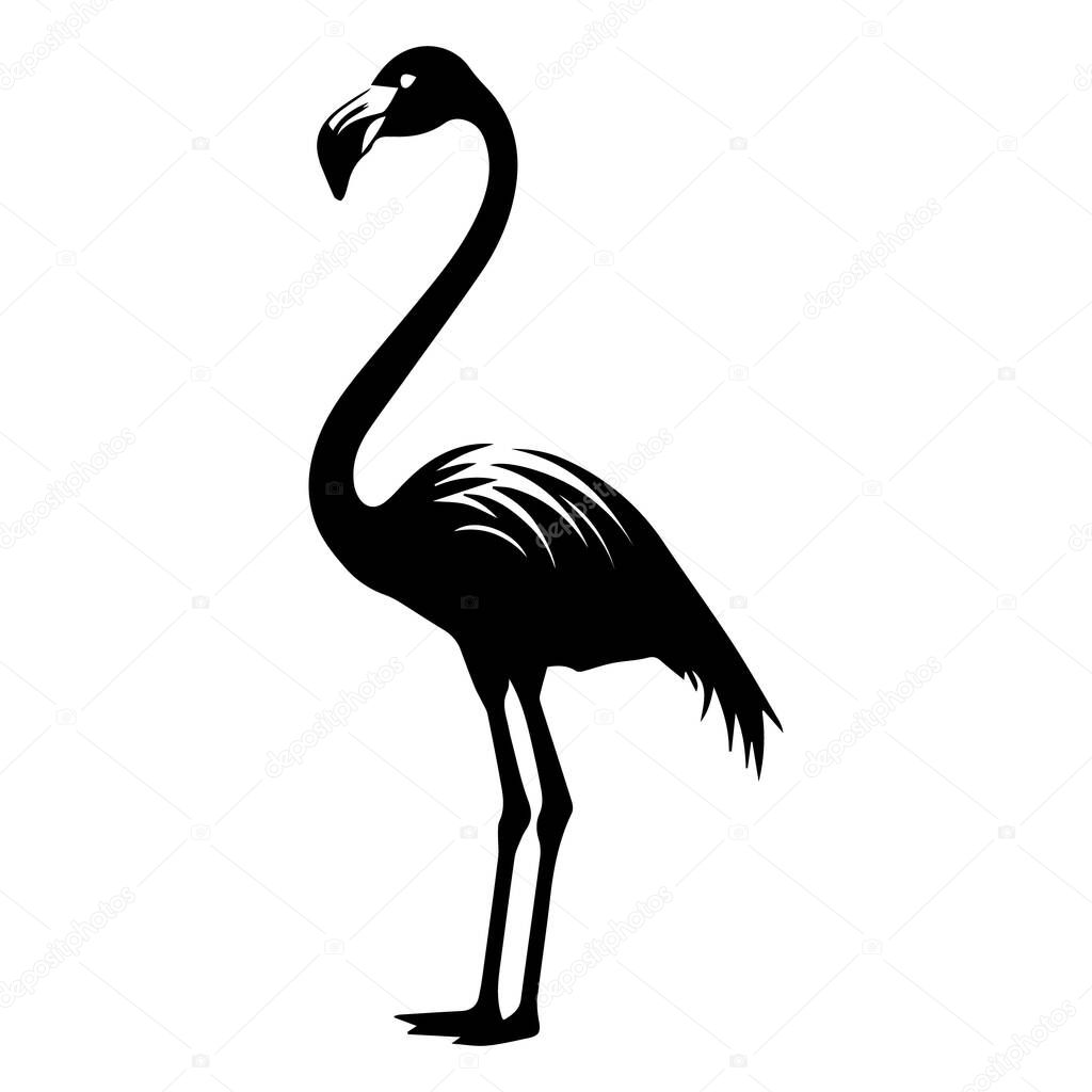 Black and white flamingo silhouette elegant bird illustration