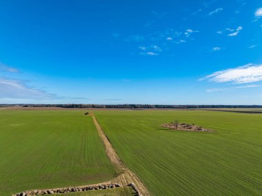 Estonya 'da canlı mavi gökyüzünün altında yemyeşil bir arazinin havadan görünüşü. Toprak bir patika, uzak bir toprak yığını ve kırsal huzuru çağrıştıran küçük bir ağaç adasına giden tarlaları kesiyor..