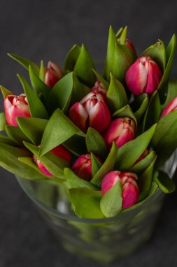 Koyu arka planda yeşil yapraklı bir buket taze pembe lale. Romantik, bahar ve doğa temalı projeler için mükemmel bir çiçek kompozisyonu. Posterler, kartlar ve dijital tasarımlar için ideal