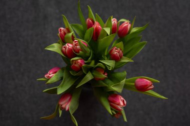 Koyu arka planda yeşil yapraklı bir buket taze pembe lale. Romantik, bahar ve doğa temalı projeler için mükemmel bir çiçek kompozisyonu. Posterler, kartlar ve dijital tasarımlar için ideal