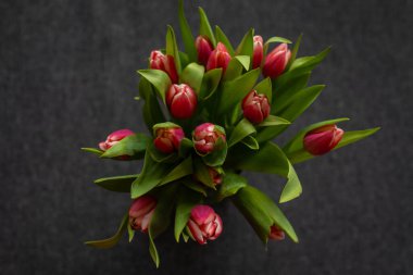 Koyu arka planda yeşil yapraklı bir buket taze pembe lale. Romantik, bahar ve doğa temalı projeler için mükemmel bir çiçek kompozisyonu. Posterler, kartlar ve dijital tasarımlar için ideal