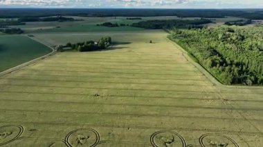 Estonya buğday tarlasında eşsiz dairesel desenlerin havadan görünüşü. Gizemli izler ve geometrik şekiller soyut bir göz alıcı manzara yaratır. Tarım, doğa ve sanatsal temalar