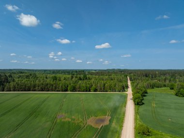 Bereketli yeşil tarlalar ve ormanlarla çevrili Estonya 'daki hareketli arabalarla dolu kırsal bir yolun hava manzarası. Parlak bir yaz gökyüzü altında kırsal alan ve seyahat ilhamı..