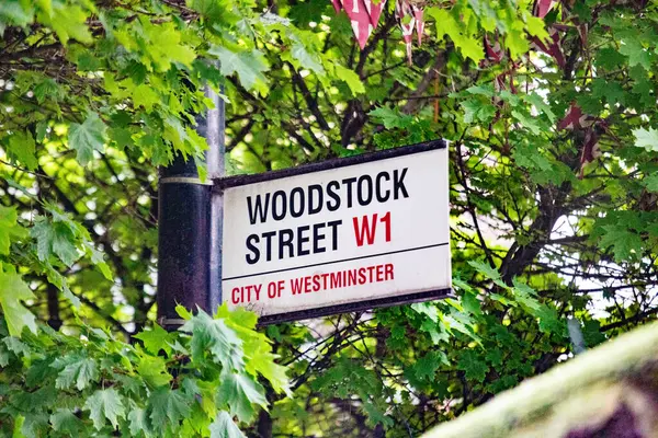 Westminster, Londra 'da yeşil yapraklarla çevrili Woodstock Street W1 için bir tabela..