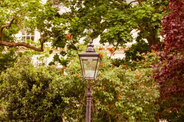 Londra 'da yemyeşil bir bahçeyle çevrili klasik bir sokak lambası..