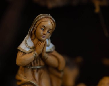 Göldeki mağarasında ördek. Yüksek kalite fotoğraf