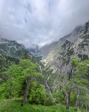 Alman Alpleri 'nin güzel manzarası Zugspitzregion Hoellental. Yüksek kalite fotoğraf