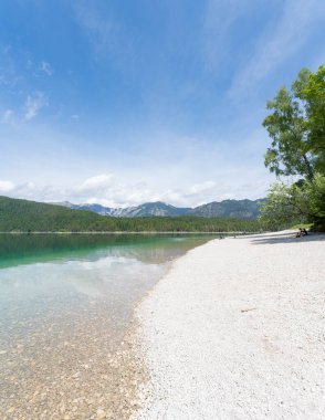 Kuşlarının tepesi Alman Eibsee, Bavyera 'da yuva yapar. Yüksek kalite fotoğraf