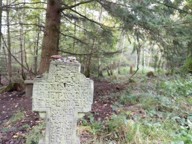 Ormanın derinliklerindeki çok eski kayalık bir anıt. Yüksek kalite fotoğraf